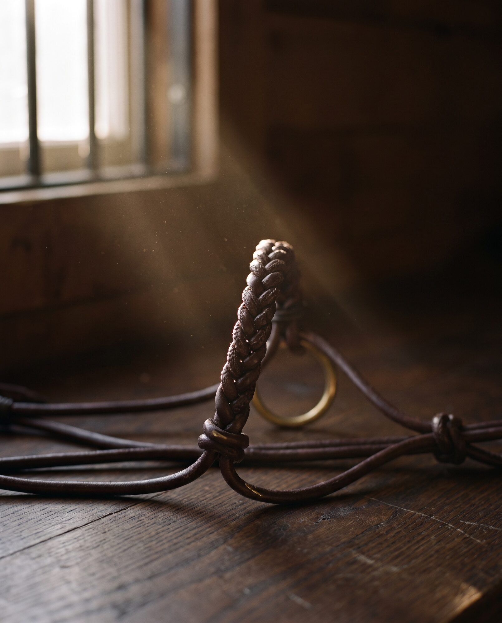 Gevlochten leren neusriem met messing ring, close-up